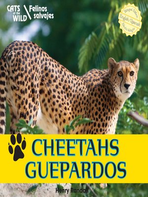 cover image of Cheetahs / Guepardos